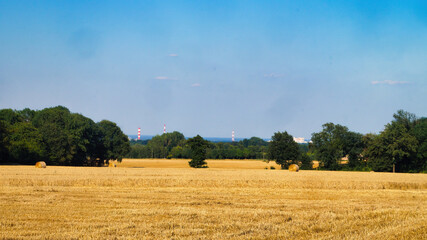 Fototapeta premium hay bales in a field