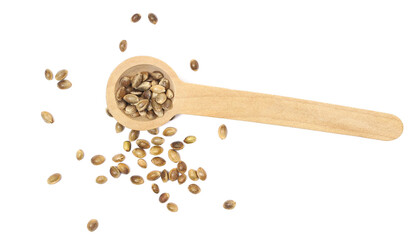 Hemp seeds in wooden spoon isolated on white background, macro	