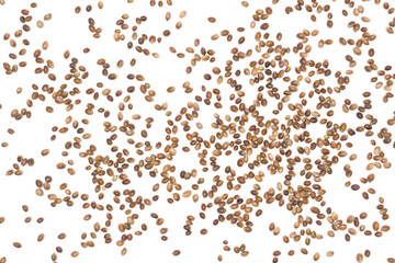 Hemp seeds isolated on white background, macro	