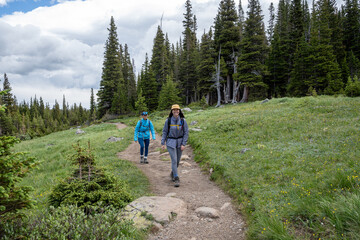 Two hikers on Lake Isabelle Trail in Brainard Lake Recreation Area, Colorado on sunny summer afternoon.