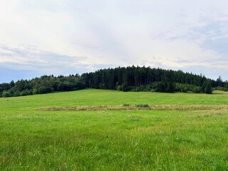 landscape with grass and sky