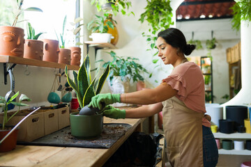 Cute woman caring for a snake plant in a charming plant store, displaying her love for gardening...