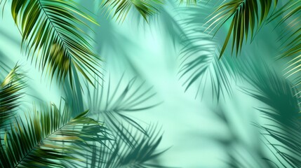 Abstract tropic mint-colored background with soft palm tree shadows like a mockup or product presentation template. green patel 