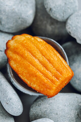 Madeleine cookies in a cup on gray pebbles.Sweet pastries from French cuisine. Madeleine biscuit cookies on gray round stones.