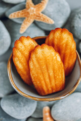 Madeleine biscuit cookies on round stones. Madeleine cookies in a cup and starfish on gray pebbles.sweet French dessert in nautical style.Sweet pastries from French cuisine 