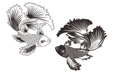 Hand drawn and Silhouette beautiful siamese fighting fish.Thai beautiful fish tatoo.infinity asian fish