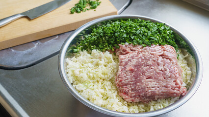ボウルの中の餃子の具材(キャベツ・にら・豚ひき肉)｜ギョウザを作る　イメージ