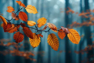 Autumn Leaves on Branch in Misty Forest