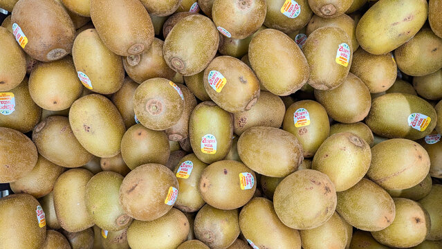 Zespri sungold kiwifruit with stickers in supermarket in capital city of Wellington, New Zealand Aotearoa on 15 July 2024