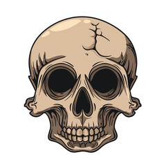 Fototapeta premium Adorable And Distinctive Skull Head Illustration, Cartoon Illustration