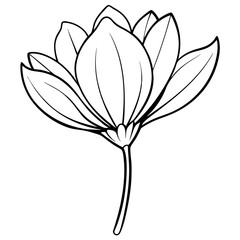 line drawing cosmos flower