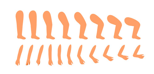 Summer girl legs and arms set. Feet and hands. Pack of legs in arms. Design elements for creating animations. Holiday and vacation. Schoolgirl construction. Flat vector collection