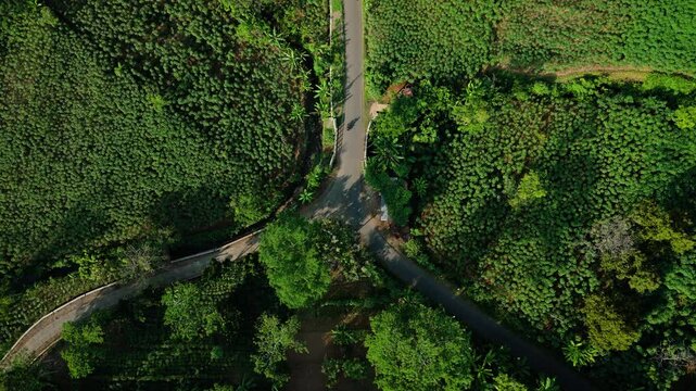 Aerial view from top of forest with highway, Motorcycle driving through three-way junction