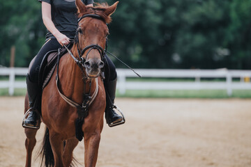 Obraz premium Young woman seen riding a chestnut horse in an outdoor arena, focusing on equestrian training and connection with the animal.