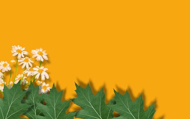 Floral green leaves banner background on autumn holiday. autumn leaves and flowers on copy space background.