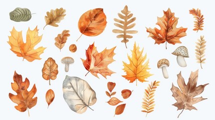 Obraz premium Autumn leaves set. Fall leaves. White background. Watercolor illustrations set