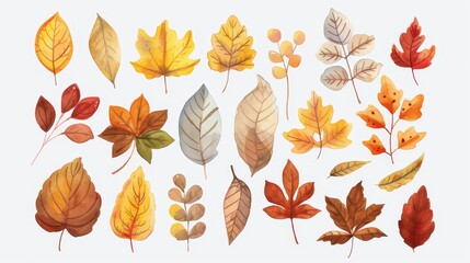 Obraz premium Autumn leaves set. Fall leaves. White background. Watercolor illustrations set