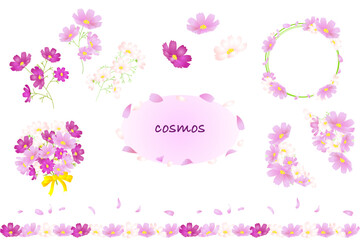 コスモスの花と花びらの素材詰め合わせセット