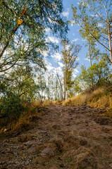 Camino al cerro