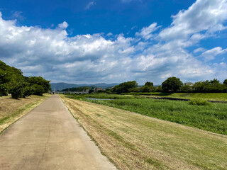夏の賀茂川遊歩道