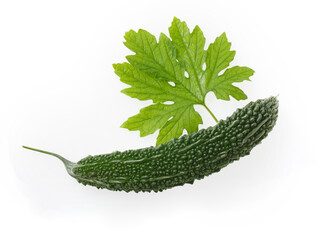 ゴーヤ　白バック