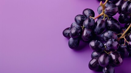 Black Grapes on a Purple Background