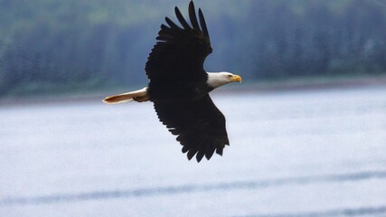 Icy Strait Point, Alaska