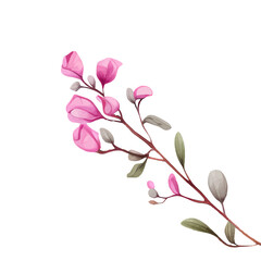 Fototapeta premium 04011446H flower 46
