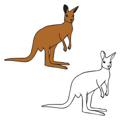 Kangaroo Colorful Line Art Vector Illustration