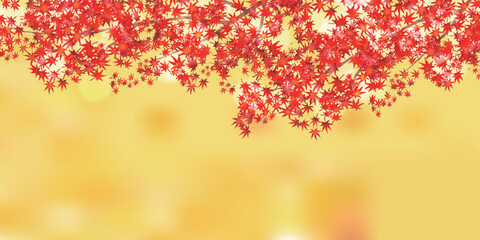 紅葉　もみじ　秋　背景