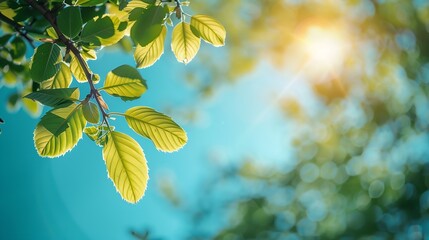 Obraz premium Tree branch with leaves in front of blue sunny sky Summer background with copy space : Generative AI