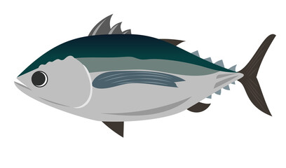 一匹のマグロのシンプルなイラスト