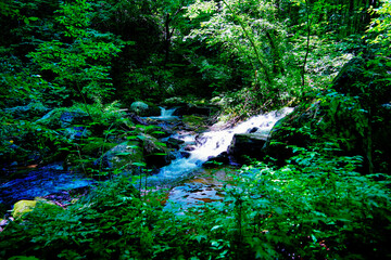 Anna Ruby Falls and creek in the state of Georgia, USA