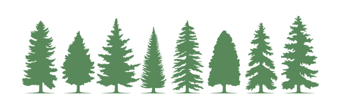 A row of 9 pine trees in a flat green silhouette, set against a white background.