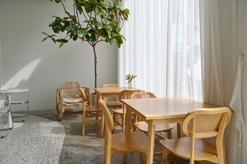 Bright and airy minimalist interior with wooden furniture, a large potted plant, and a vase of flowers.