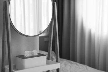 Mirror and Tissue paper with Interior design elements at room