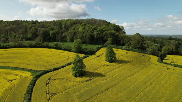 Aerial video over green nature Leaf and Ground Dursley UK