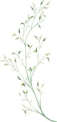 Watercolor botanical leaves branch