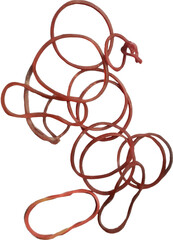 Group of red rubber band isolate on white background, die cut