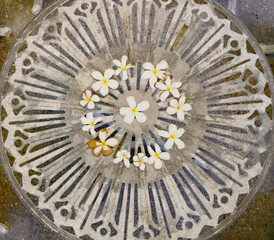 Closeup of Group of white flowers (Adenium flower, Frangipani, Plumeria) are arranged on a white iron table with a beautiful pattern background at Thailand.