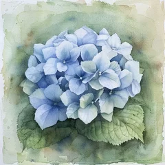 Rolgordijnen zonder boren A single blue hydrangea in the middle with a soft green watercolor background © Dreamphoto