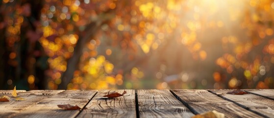 Wooden Plank in Autumnal Bokeh Background