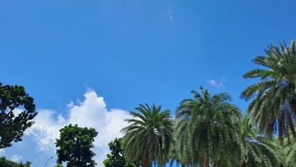 Naklejka premium Blue Sky with Pretty Cloud In Singapore