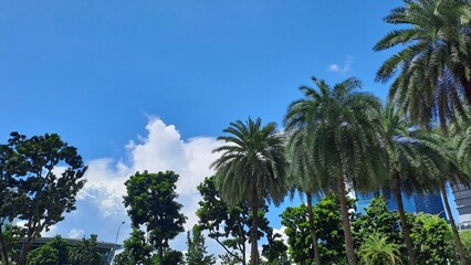 Fototapeta premium Blue Sky with Pretty Cloud In Singapore