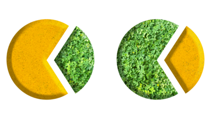 pie chart, gold and jungle/leaves/grass, isolated on transparent background, suitable for template economy and ecosystem environment  