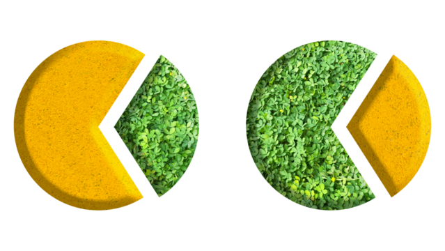 pie chart, gold and jungle/leaves/grass, isolated on transparent background, suitable for template economy and ecosystem environment  