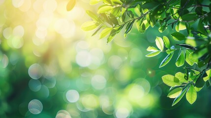 Fototapeta premium Garden and park backdrop, blurry green summer outdoors with bokeh, abstract bright natural spring background