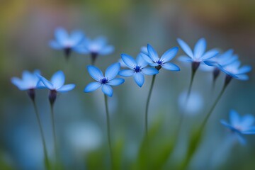 Bluet flowers bokeh background, AI Generated