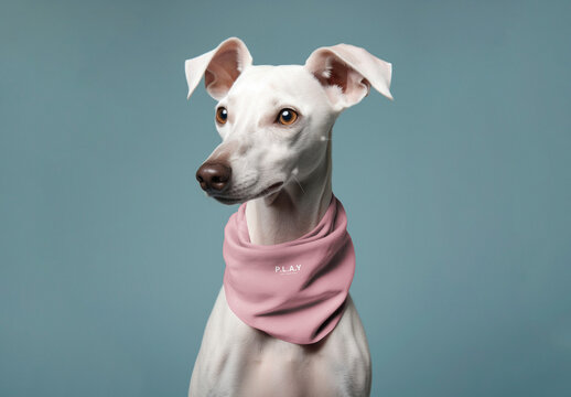 Apparel Pet Bandana Mockup With Generative AI
