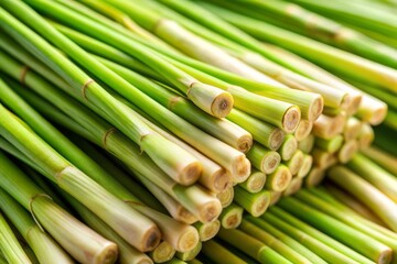 Fototapeta premium Fresh Lemongrass Stalks.